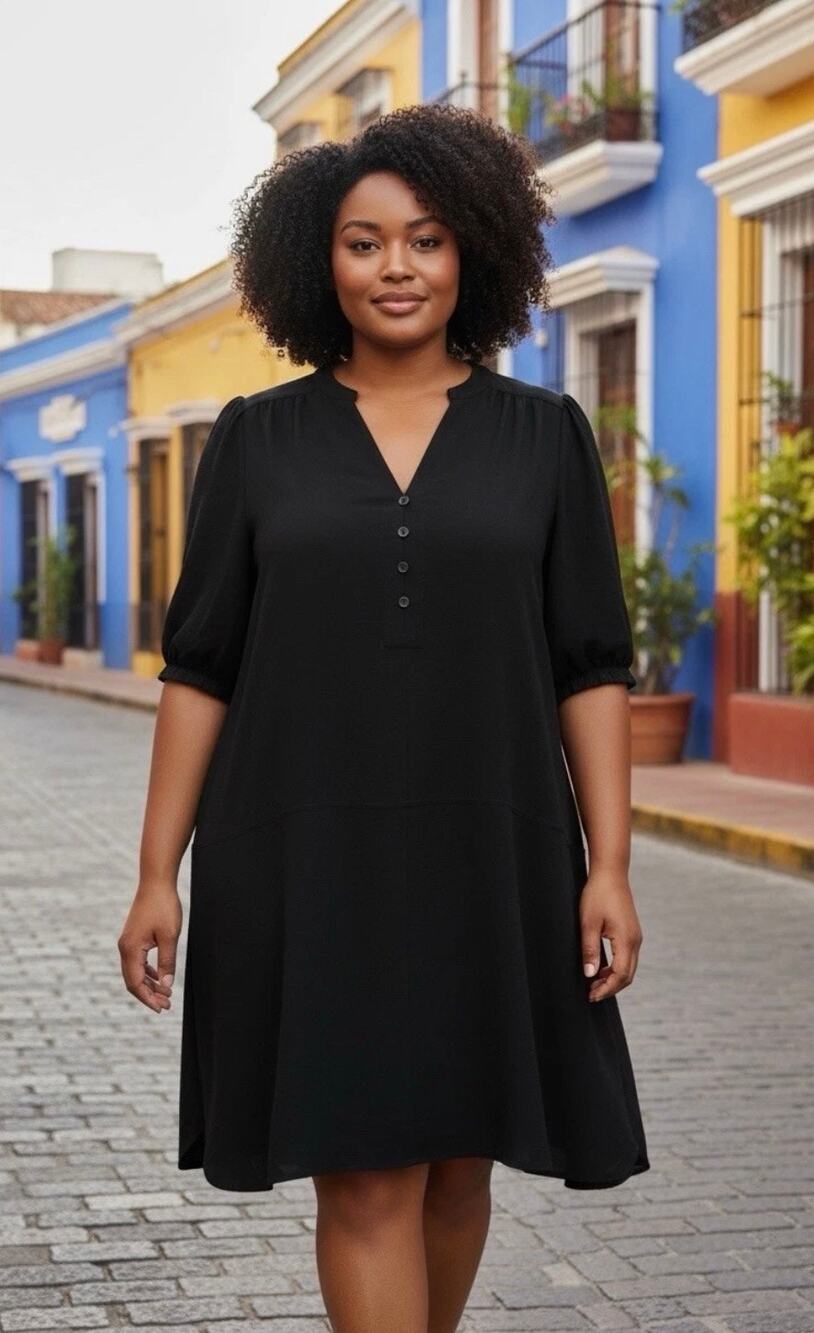 Clover and sloane black short sleeve dress pull over vneck size large